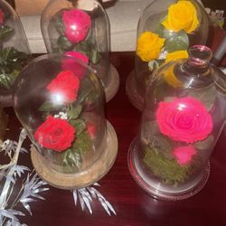 Rosas Preservadas Eternal Roses