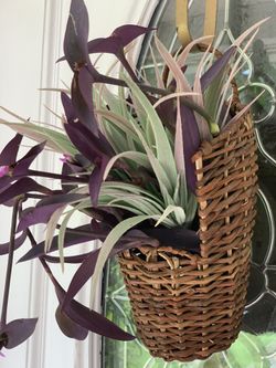 Hanging Wicker Basket