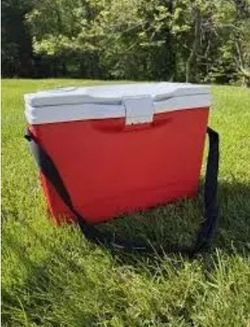 Slim Cooler by Rubbermaid