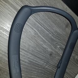 Sony Srs Nb10 Bluetooth Neck Speaker