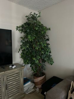 Artificial plant