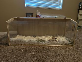 Hamster enclosure