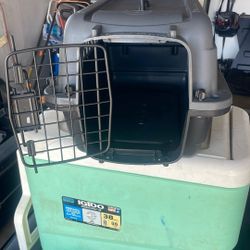 Cat Carrier 
