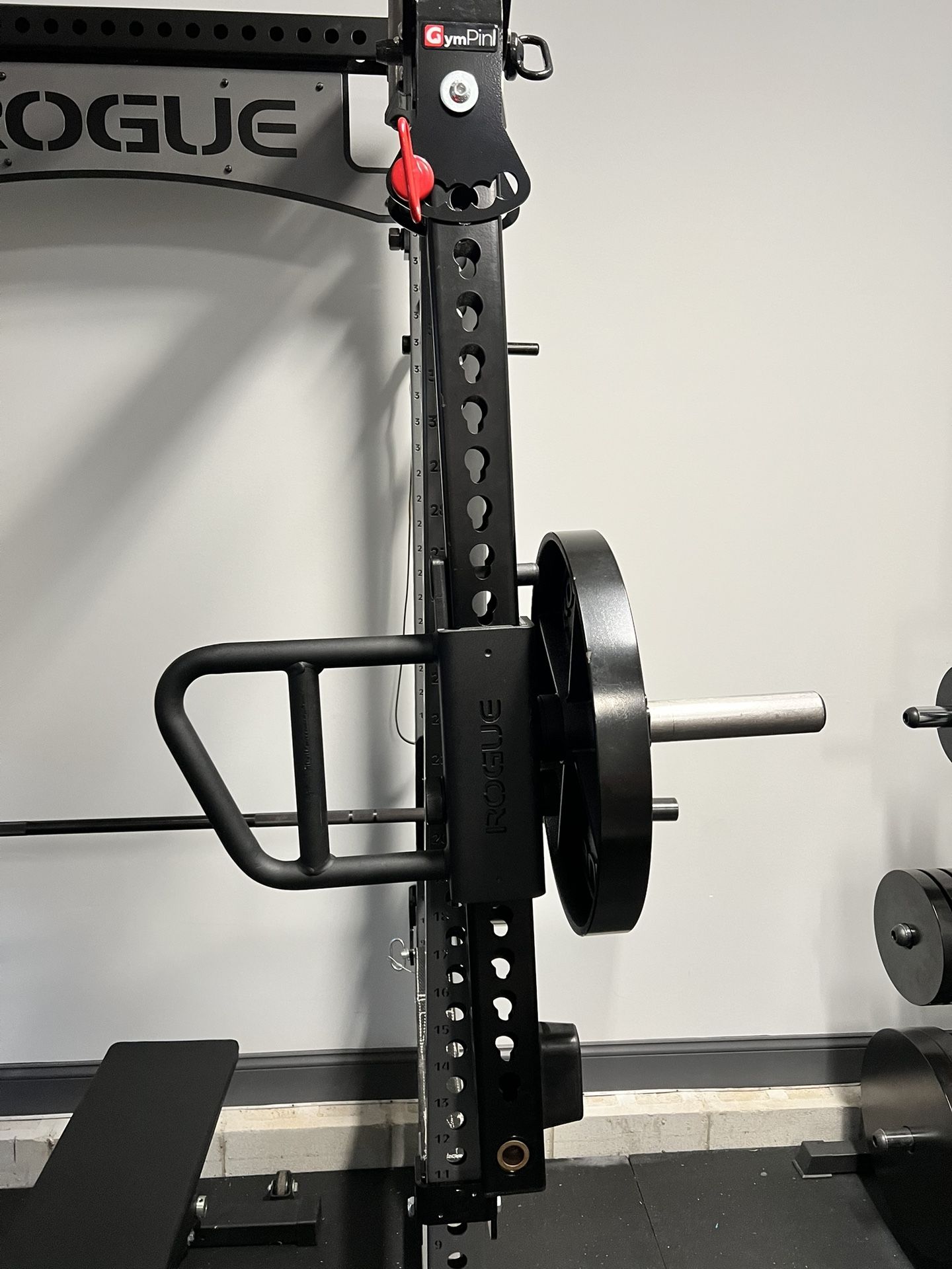 Rogue Monster Lever Arms 48” W/ GymPin Adapters
