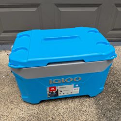 Igloo Cooler