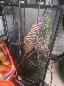 Chameleon Enclosure