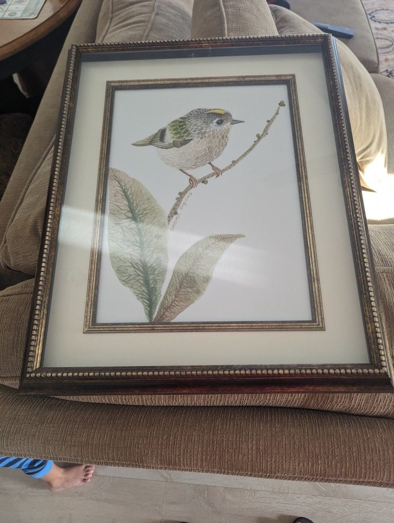 Framed And Matted Bird Print 17 By 21 Inches
