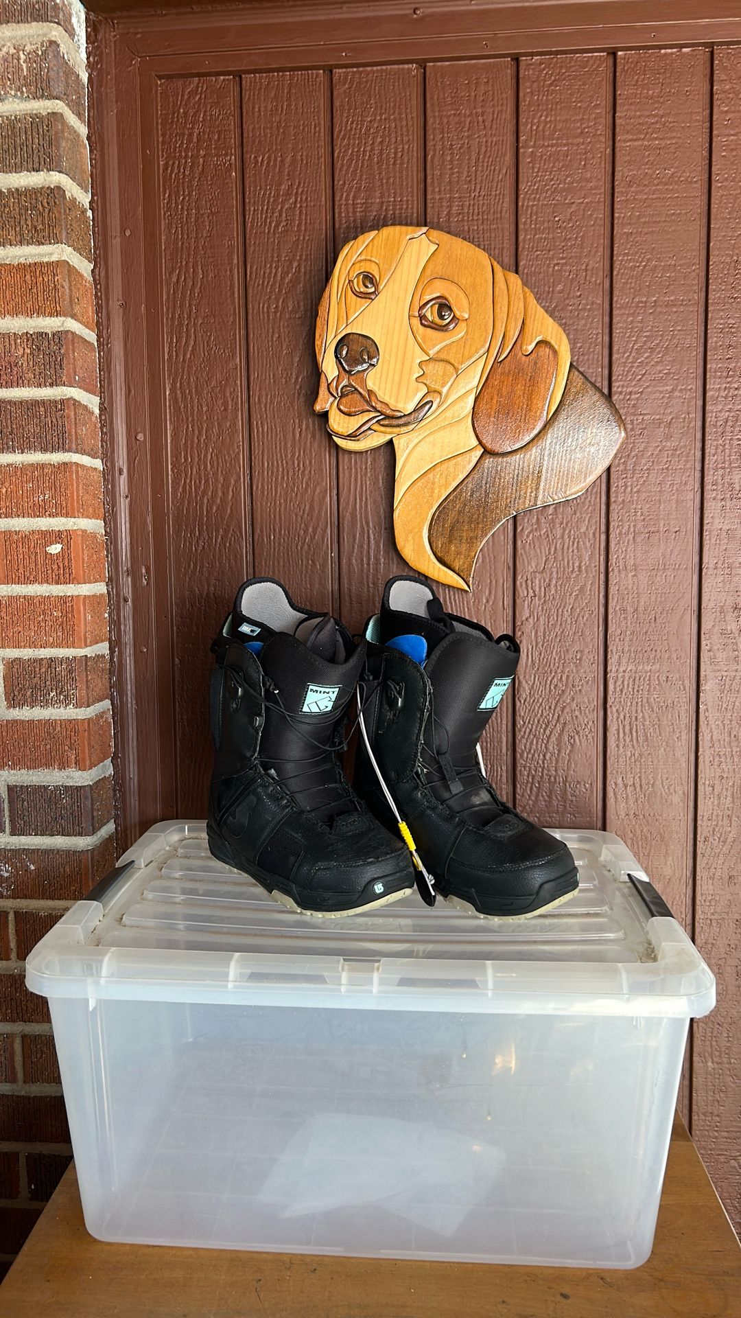 Snowboard Boot