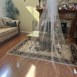 Cathedral Length Wedding Veil