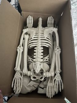 10 cm skeleton body
