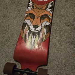 Landyachyz Longboard Skateboard
