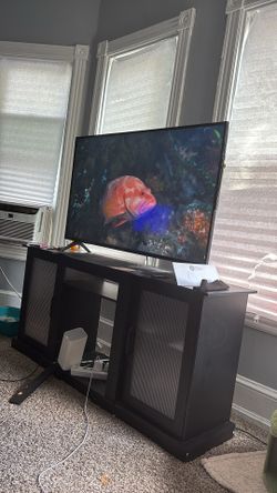 New 55” LG TV