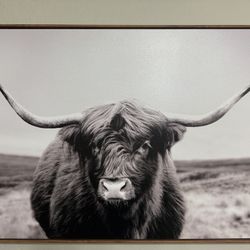 Cow Wall Decor