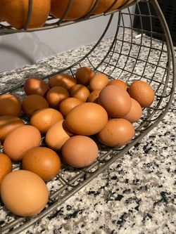 Eggs x sale