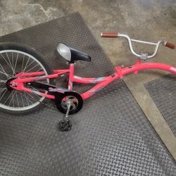 Kids Attaching Bicycle Trailer.