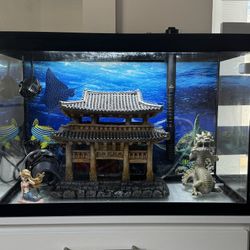 Aquarium Decorations 