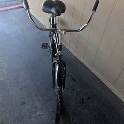 Adult Husky bike