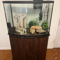46 Gallon Bow Aquarium Set up