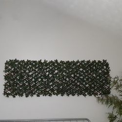 Wall Decor