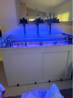 75 gallon Frag tank