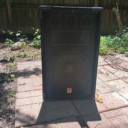 Rockville Passive 15" PA Speaker – Great Sound, Heavy Bass!
