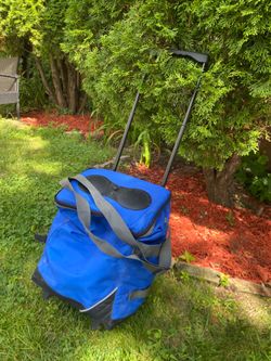 Can wheeled cooler