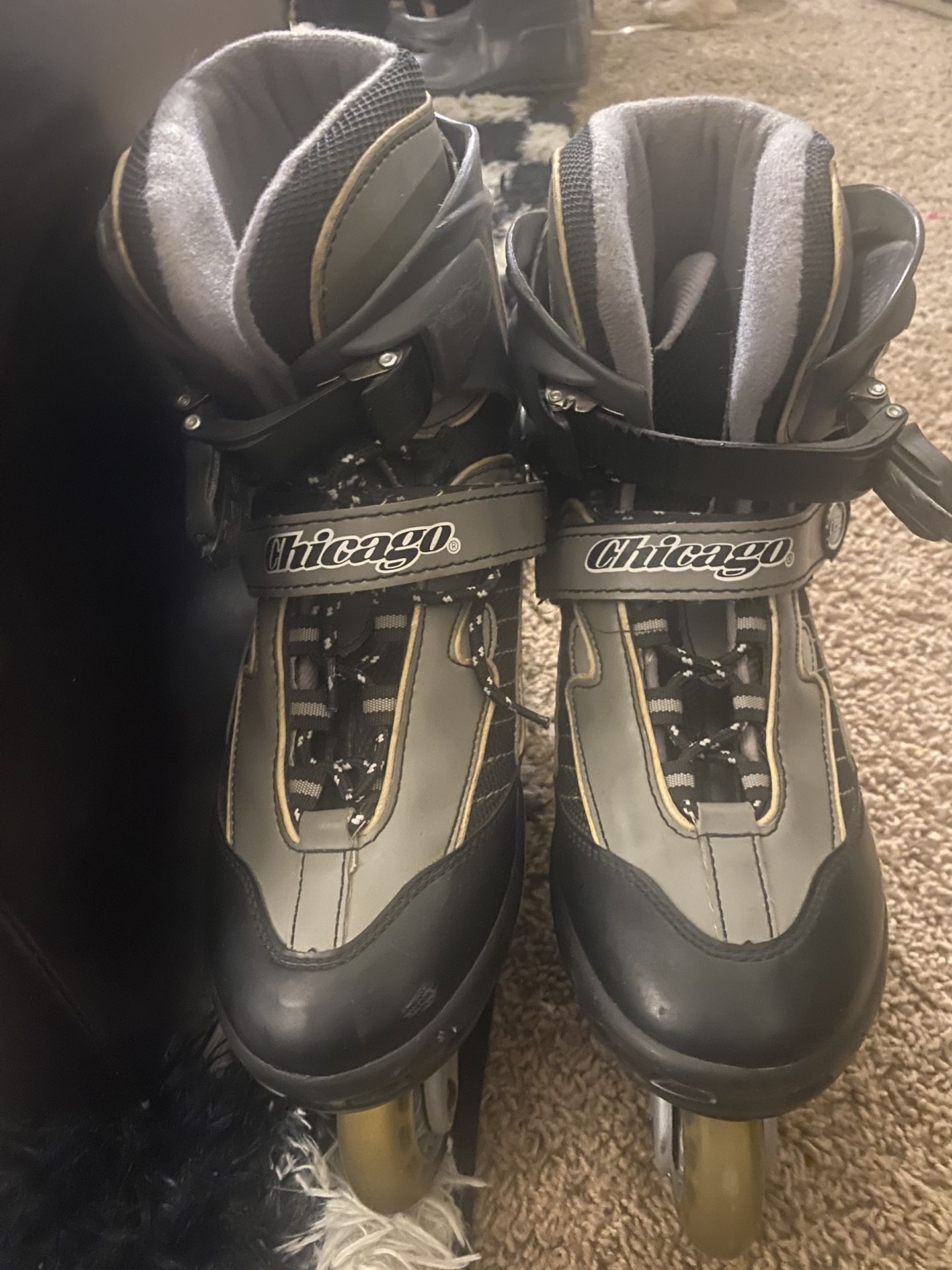 Chicago Roller Blades 