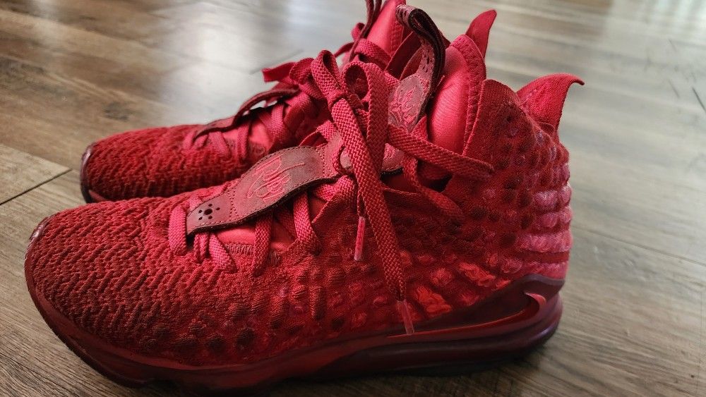 Nike Lebron 17 Mens shoe size 9.5