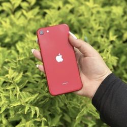 IPhone SE Unlocked / Liberado 👌 (Different Colors Available)