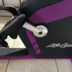 Life Fitness Recumbent Bike Integrity Series Purple
