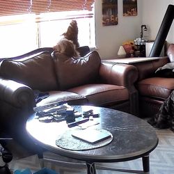 FREE Coffee Table 