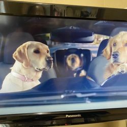 Panasonic Viera  27” TV And Wall Mount Bracket 