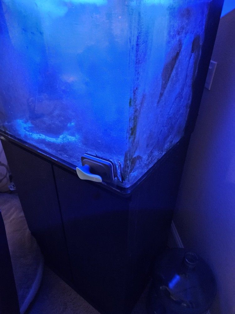 SALT WATER FISH TANK 45 GALLON