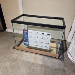 20 gallon aquarium