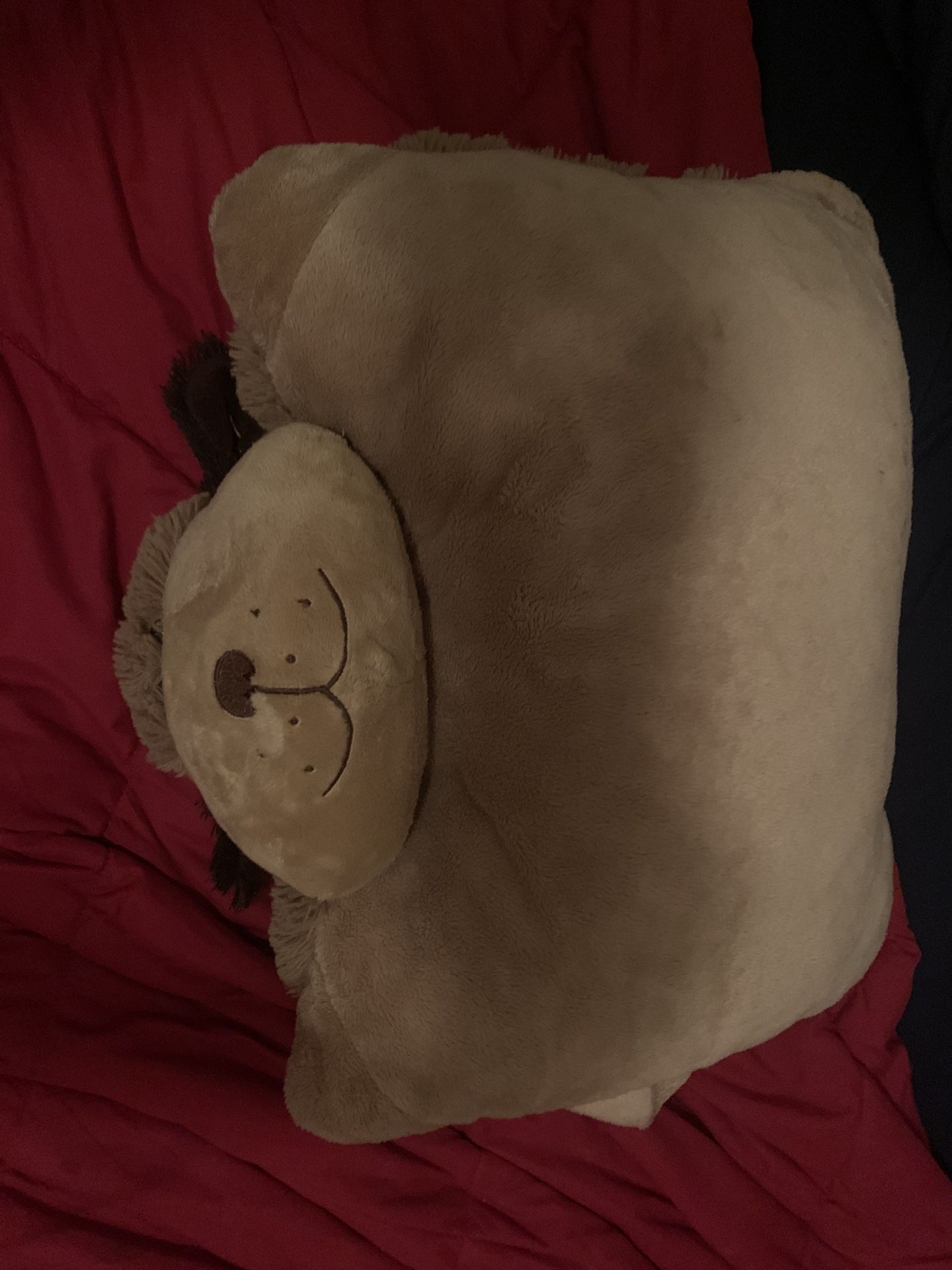One brown stuffed animal #stuffedanimals