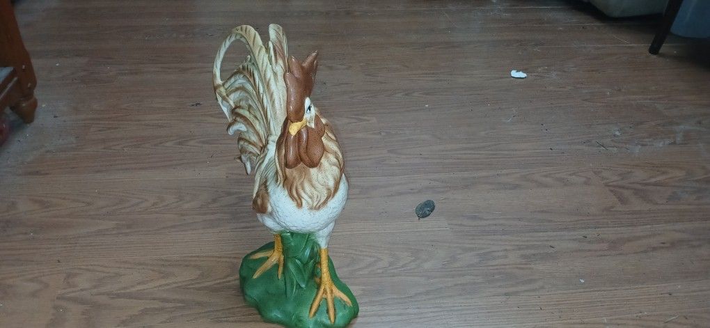 Rooster