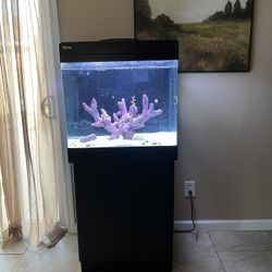 Red Sea 35 Gallon Tank 