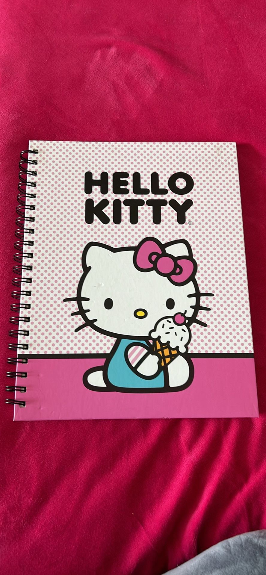 Hello Kitty Notebook