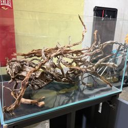 JBJ Rimless Aquarium 65G