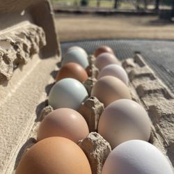 Pasture Raised Eggs