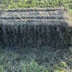 $10 Square Bales Horse Quality! Delivery! 