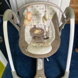 Ingenuity  Baby  Bouncer 