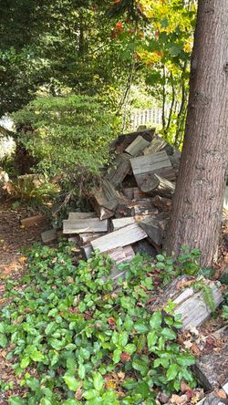 Free firewood - you haul