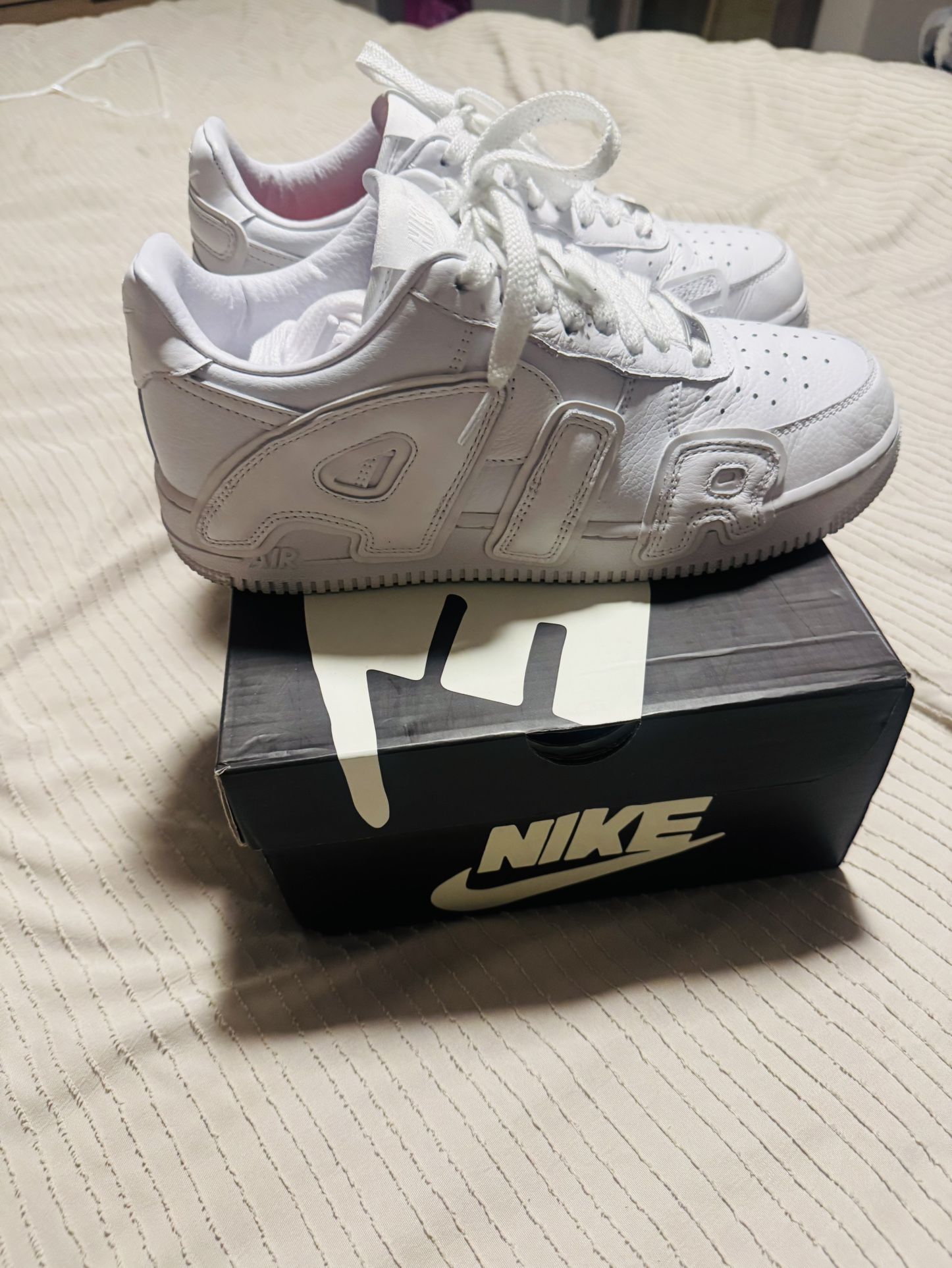 Air Force Collaboration SP