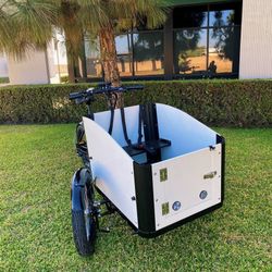 Electric cargo Bike New- Family Bike