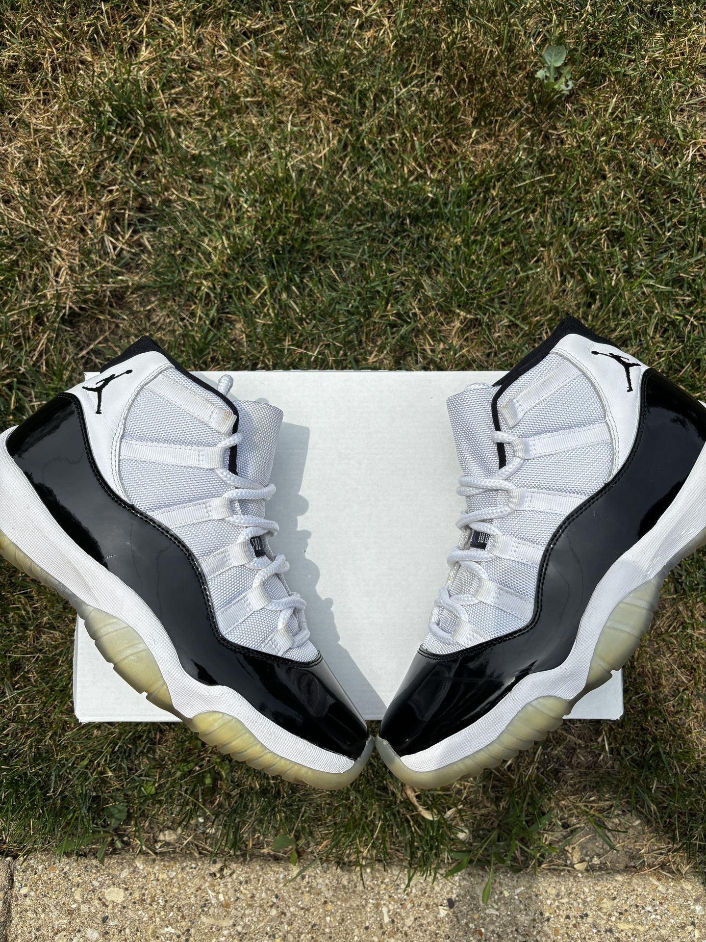 Jordan 11 concord