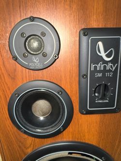 2 Infinity Floor Standing Speaker