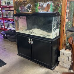 55 gallon saltwater aquarium withstand