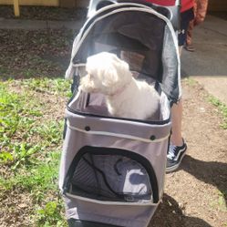 BestPet 3-Wheel Pet Jogging Stroller