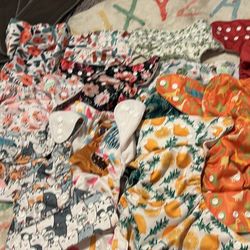 Alva Baby Cloth Diaper Lot 